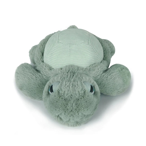Little Tyler Turtle 20cm
