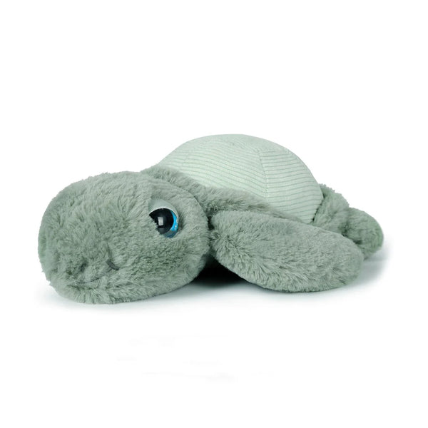 Little Tyler Turtle 20cm