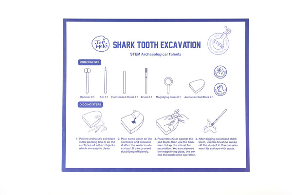 Shark Tooth Excavation