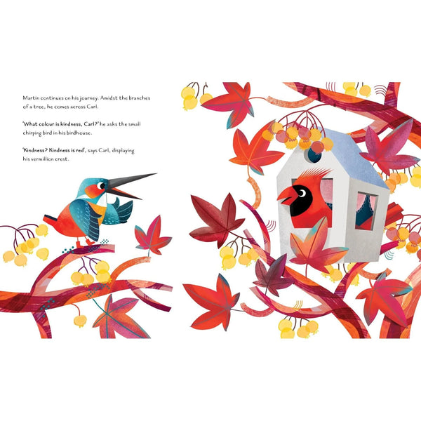 The Colour Of Kindness