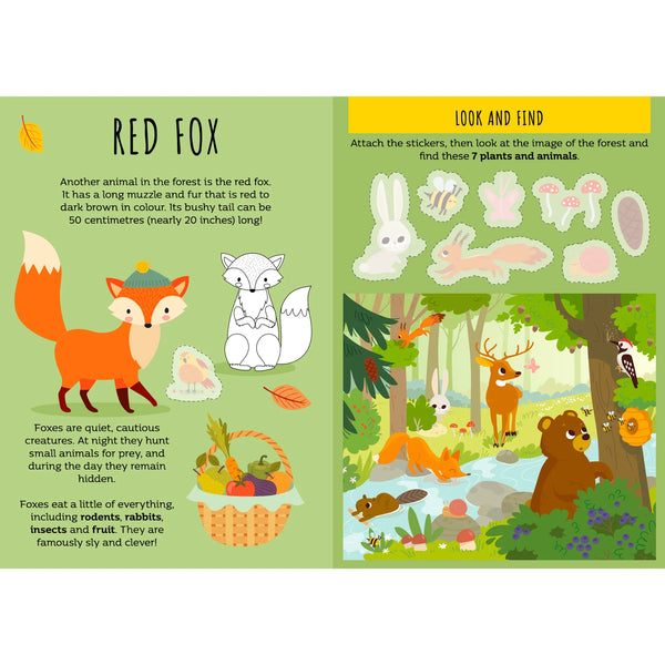 The Forest Stickers & Activities Book