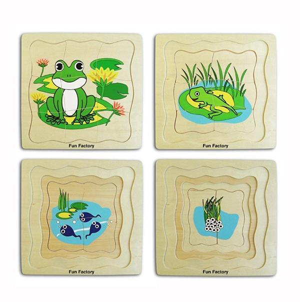 Frog Life Cycle Layered Puzzle