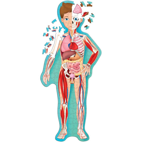 Travel, Learn And Explore - The Human Body Puzzle